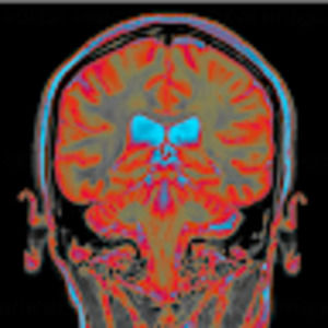 Meet your Posher, Maya